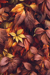 Similar image 11917357