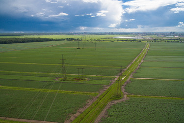 Similar image 11916823