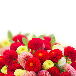 Similar image 11894837