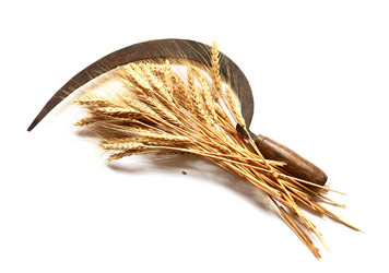 Similar image 11910890