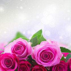 Similar image 11899936