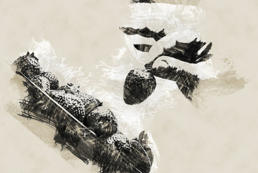 Similar image 11893999