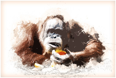 Similar image 11894029