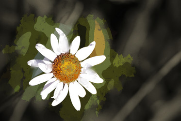 Similar image 11894060