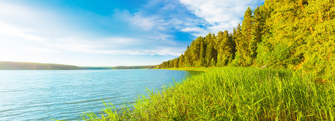 Similar image 11918284