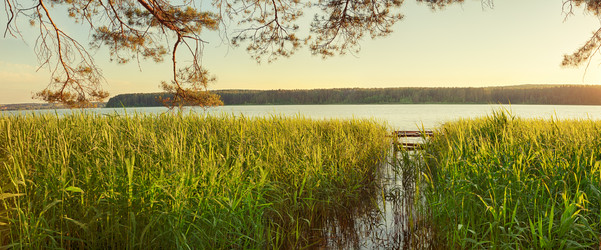 Similar image 11918285