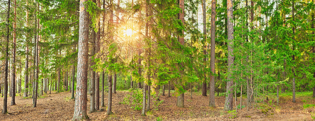 Similar image 11918304