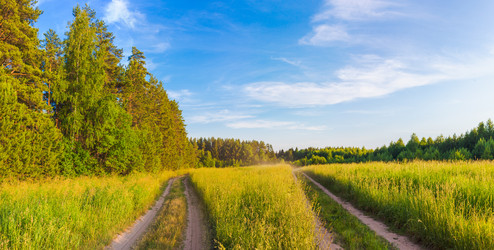 Similar image 11918305