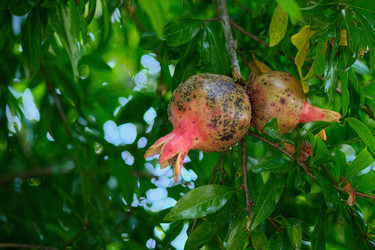 Similar image 11914095