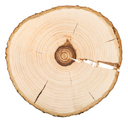 Similar image 11911649