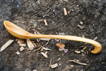 Similar image 11911663