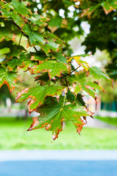 Similar image 11911674