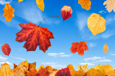 Similar image 11911683