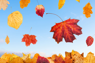 Similar image 11911686