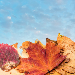 Similar image 11911693