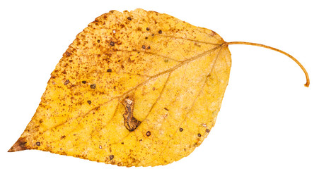 Similar image 11911707