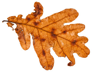 Similar image 11911717