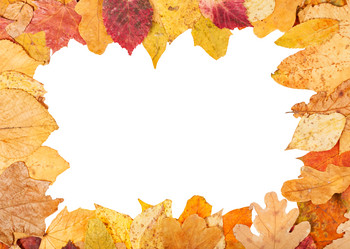 Similar image 11911740