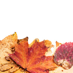 Similar image 11911743