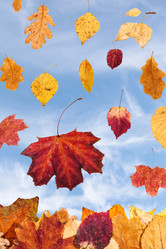 Similar image 11911765