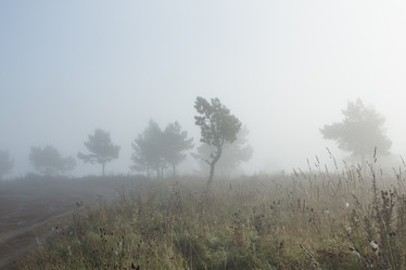 Similar image 11910503