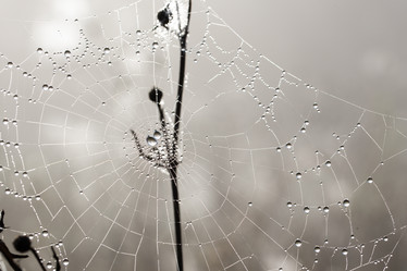 Similar image 11910504