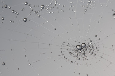 Similar image 11910505