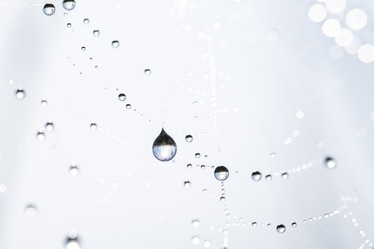 Similar image 11910507