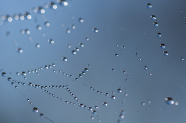 Similar image 11910509