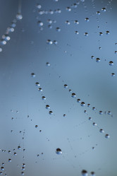 Similar image 11910511