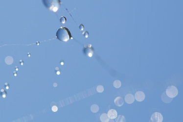 Similar image 11910522