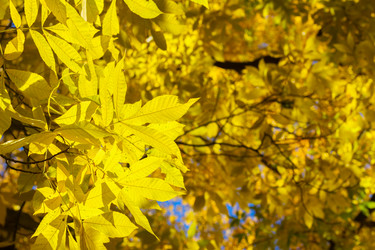 Similar image 11894793