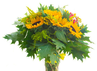 Similar image 11899542