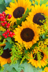 Similar image 11899729