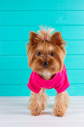 Similar image 11911027