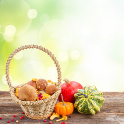 Similar image 11894908