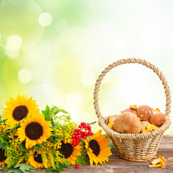 Similar image 11894927