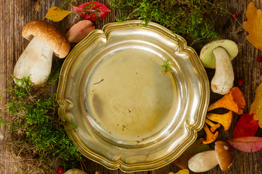 Similar image 11898183