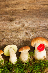 Similar image 11898201