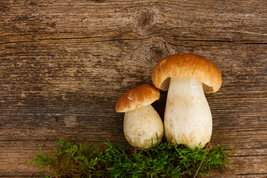 Similar image 11898202