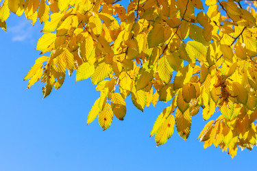 Similar image 11898203