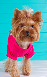 Similar image 11911031