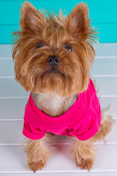 Similar image 11911033