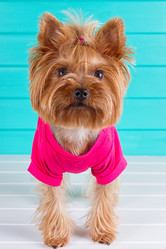 Similar image 11911034