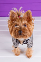 Similar image 11911038