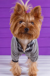 Similar image 11911341