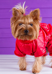 Similar image 11911371