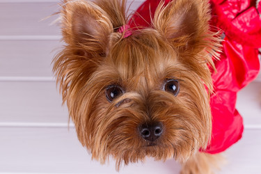 Similar image 11911390