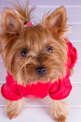 Similar image 11911391