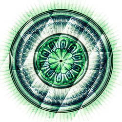 Similar image 11894063